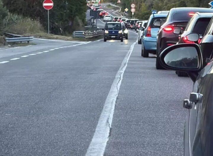 Delle auto