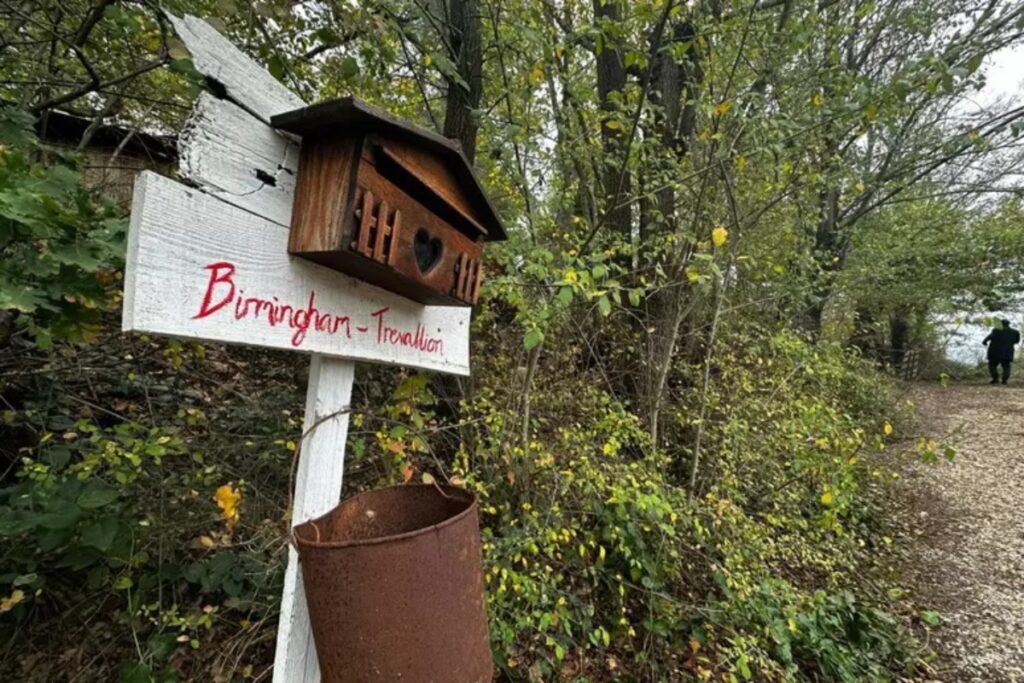 famiglia nel bosco