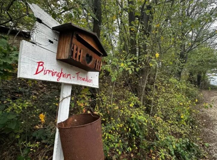 famiglia nel bosco