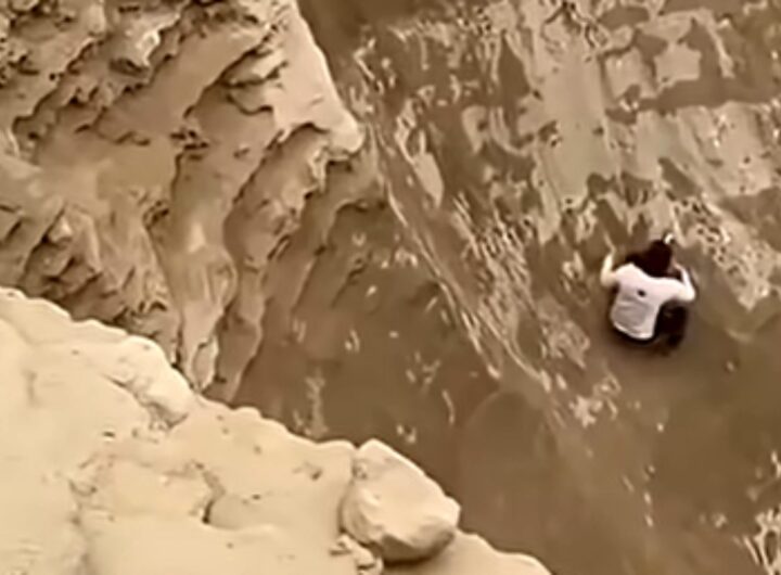 cane intrappolato canyon perù