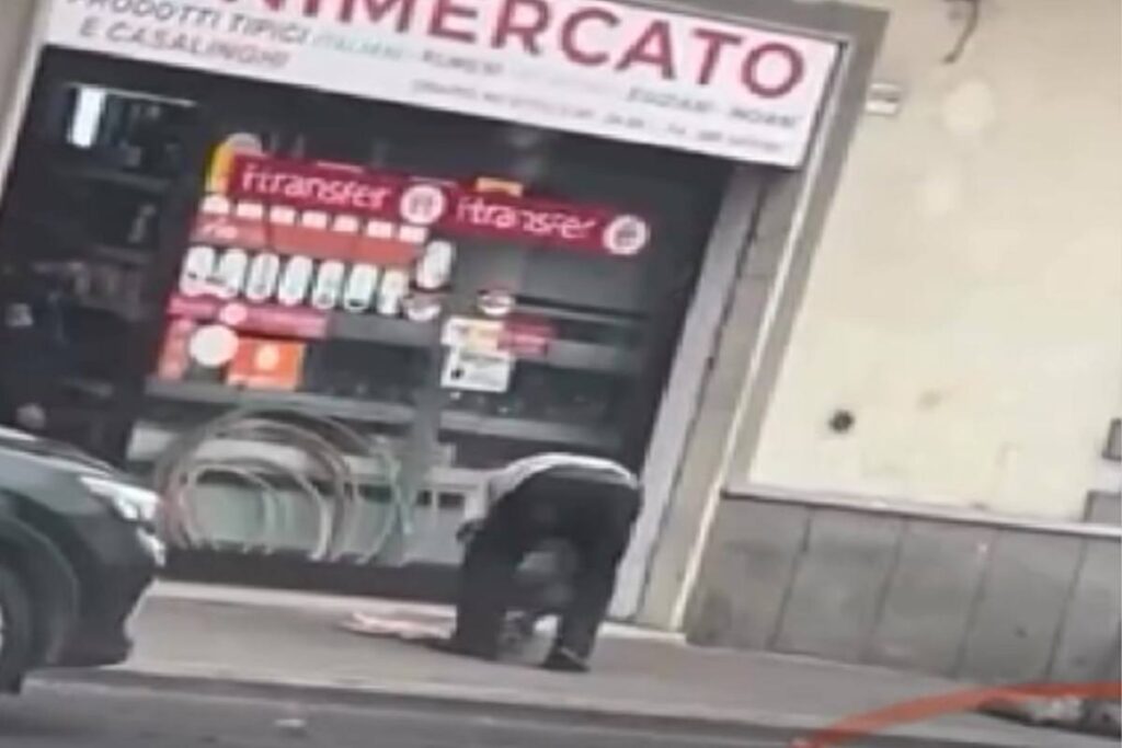 Il minimarket che a Tarquinia scongela la carne sbattendola a terra sul marciapiede