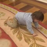 Bambino gioca sul tappeto dello studio ovale