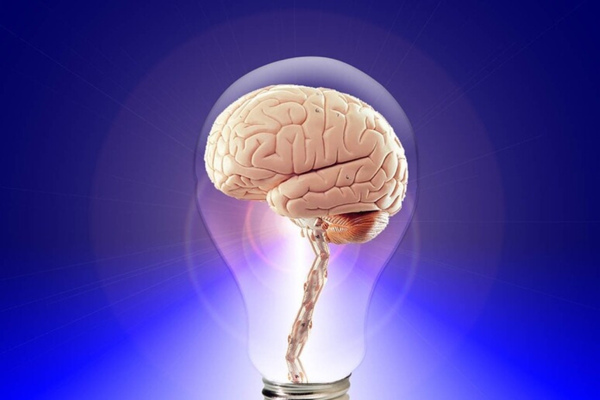 cervello lampadina
