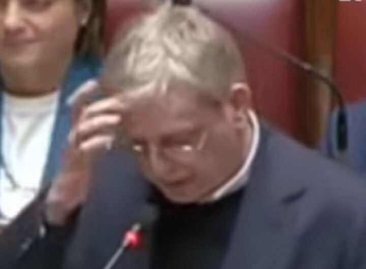 Cuperlo cita Cetto La Qualunque