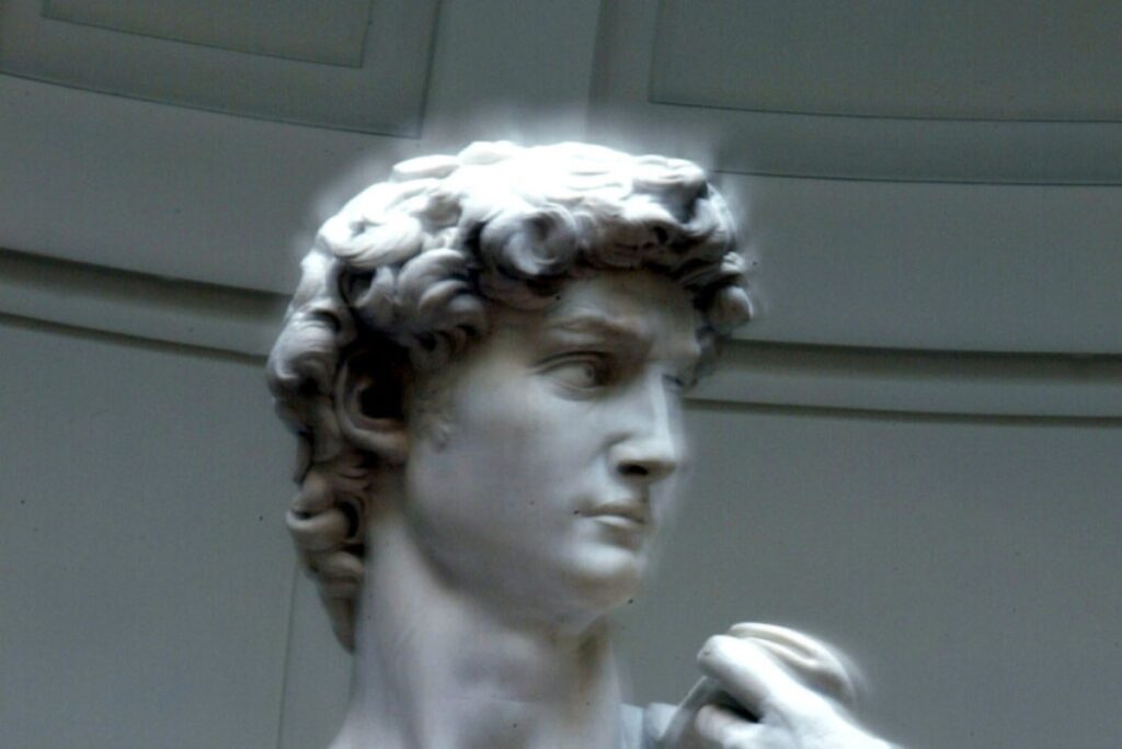 david di michelangelo