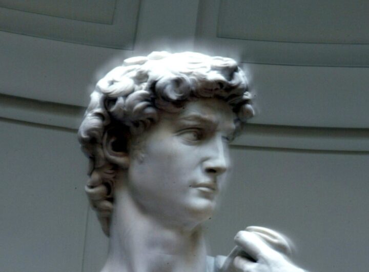 david di michelangelo