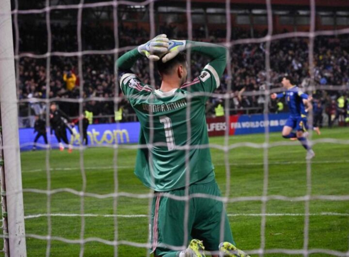 donnarumma italia bosnia