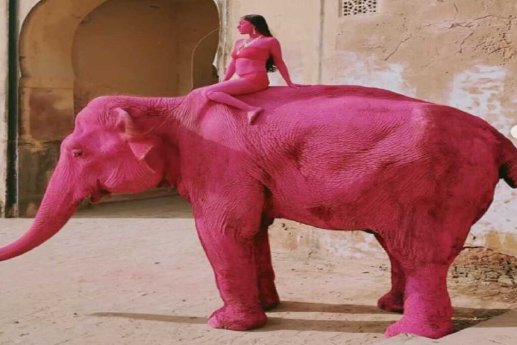 L'elefante dipinto di rosso