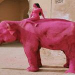 L'elefante dipinto di rosso