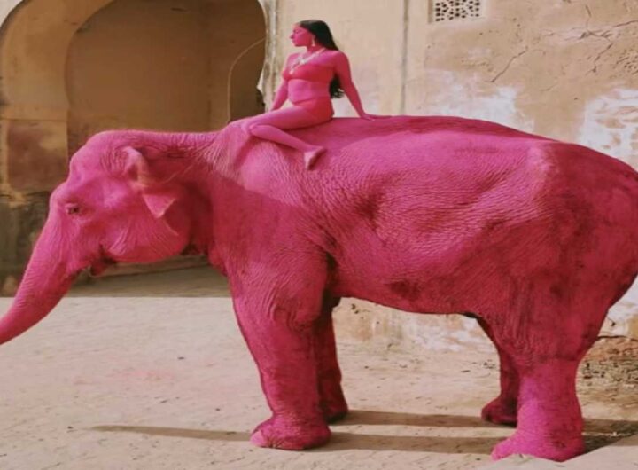 L'elefante dipinto di rosso
