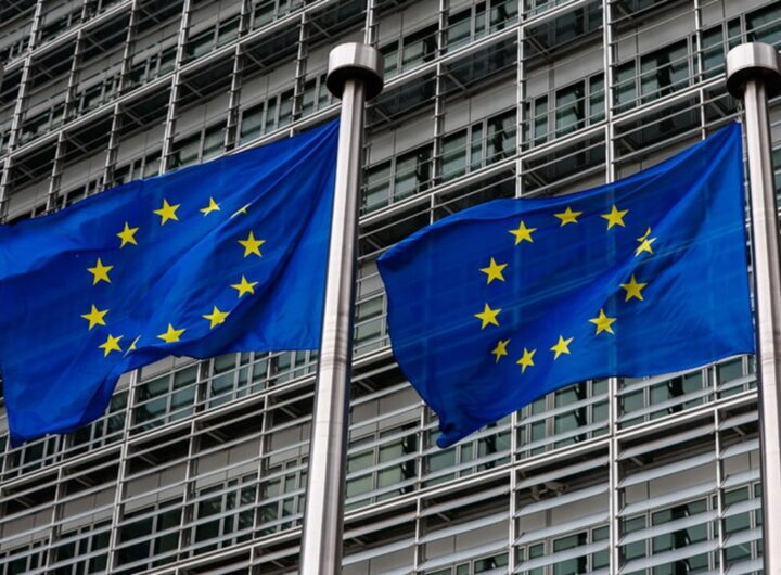 La bandiera dell'Unione Europea