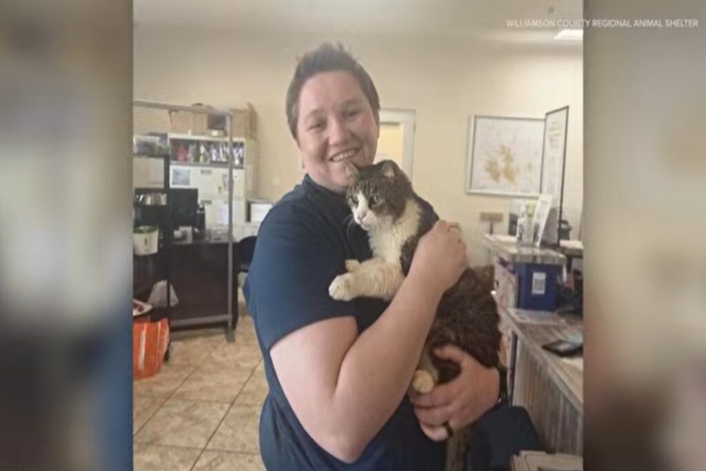 Una gatta ritrovata dopo 5 anni