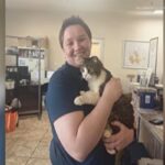 Una gatta ritrovata dopo 5 anni