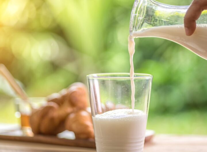 latte vegetale