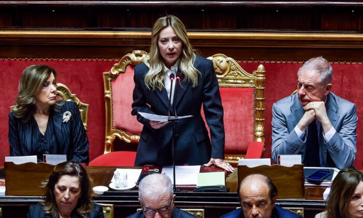 meloni senato