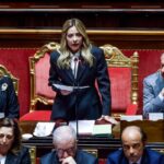 meloni senato
