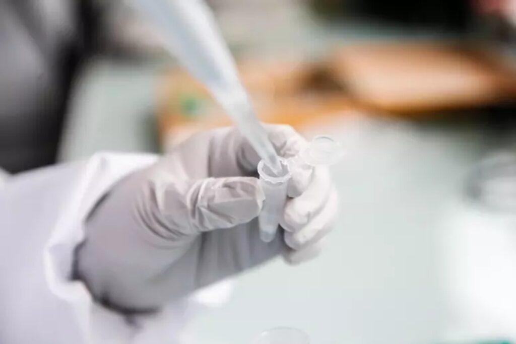 meningite fulminante