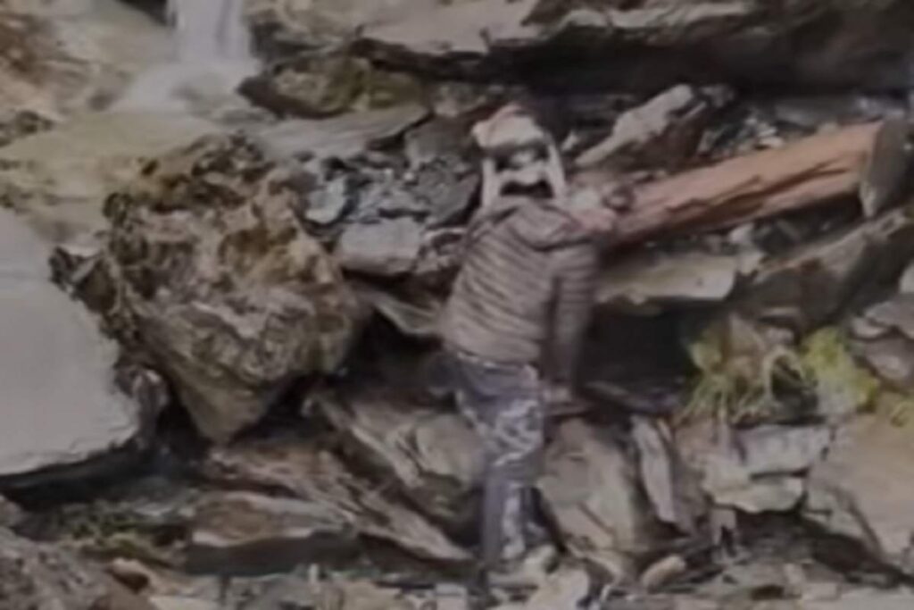 Il video del cane che si era perso nella foresta e che viene salvato con l'elicottero