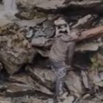 Il video del cane che si era perso nella foresta e che viene salvato con l'elicottero