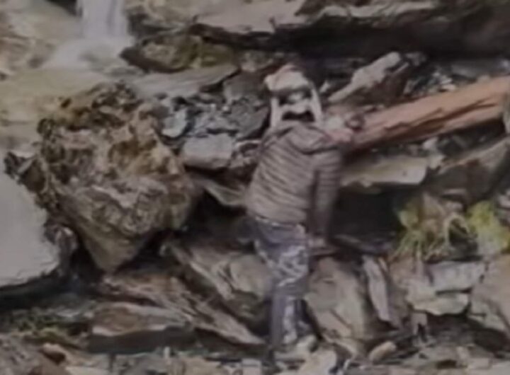 Il video del cane che si era perso nella foresta e che viene salvato con l'elicottero