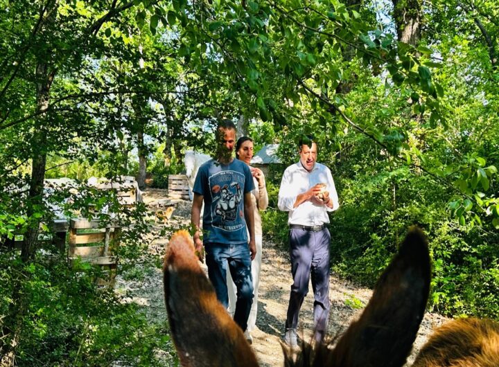 Salvini e la visita alla "famiglia nel bosco": "I bambini hanno più socialità qui che a Roma o Milano"