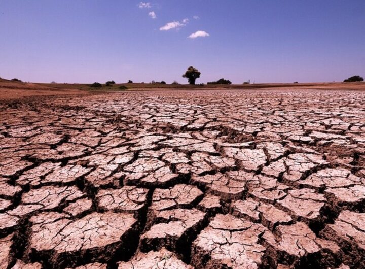Un terreno arido