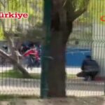 sparatoria liceo turco