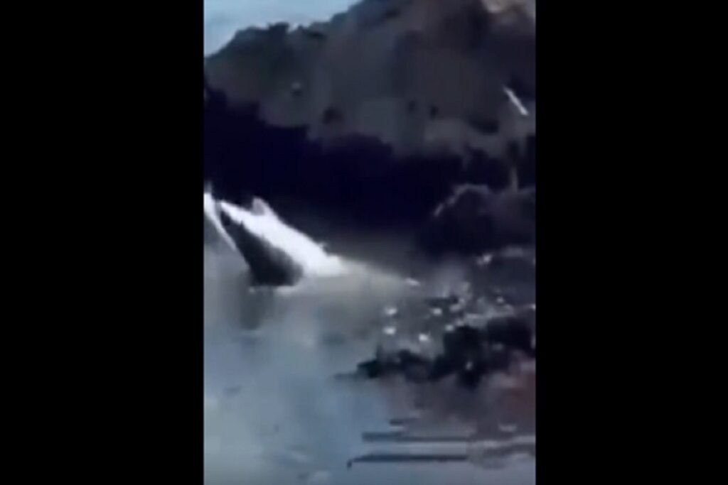 Lo squalo intrappolato