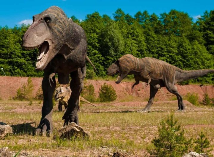 t-rex