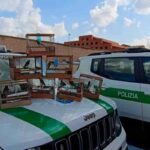 La storia della donna che viveva con 200 uccelli in casa, anche alcune specie protette