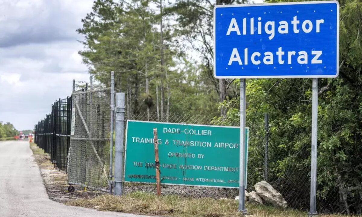 alligator alcatraz