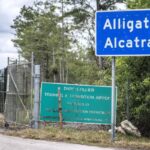 alligator alcatraz