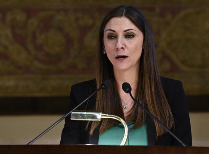 La deputata dem Anna Ascani