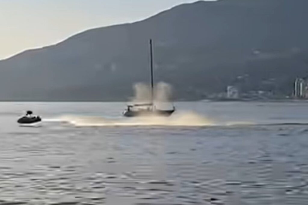 moto d'acqua si scontra con balena