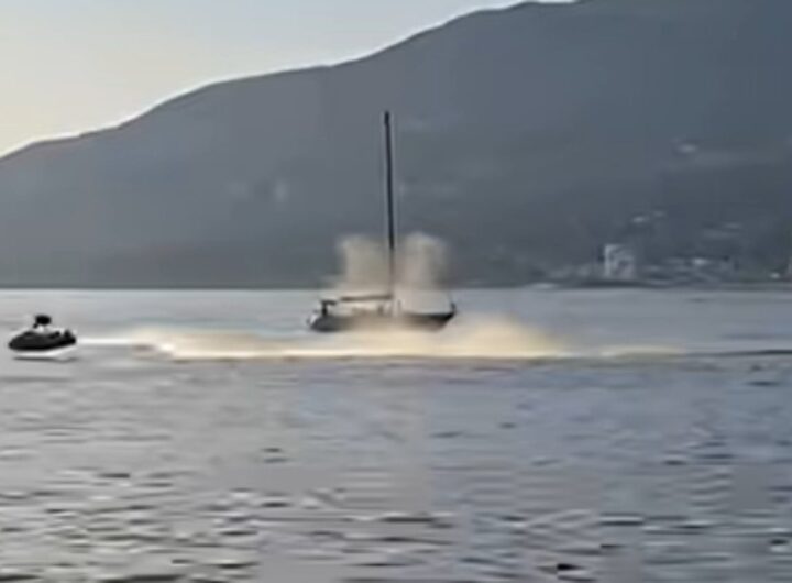 moto d'acqua si scontra con balena