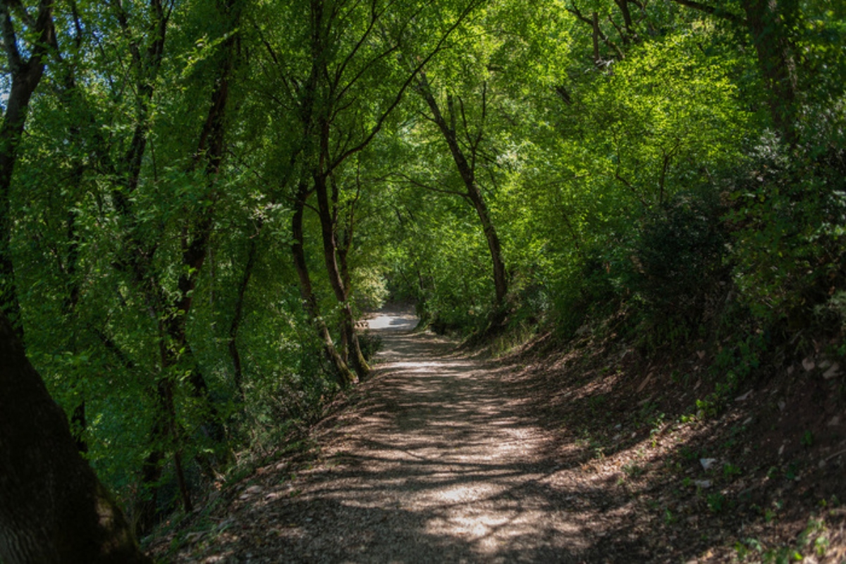 Famiglia nel bosco, la bambina ricoverata in ospedale. La mamma non è con lei