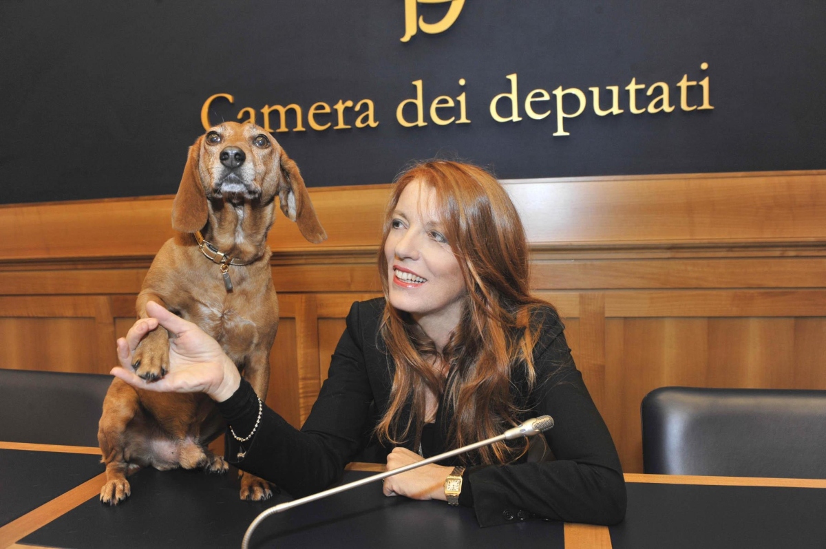 michela brambilla