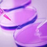 biopsia liquida tumore seno