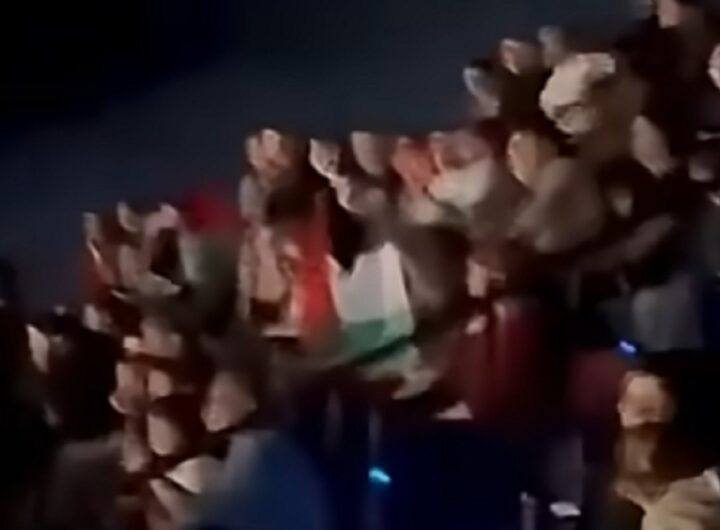 Eurovision 2026, fischi dal pubblico e bandiera palestinese durante l'esibizione di Israele