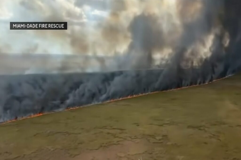 Gli incendi in Florida