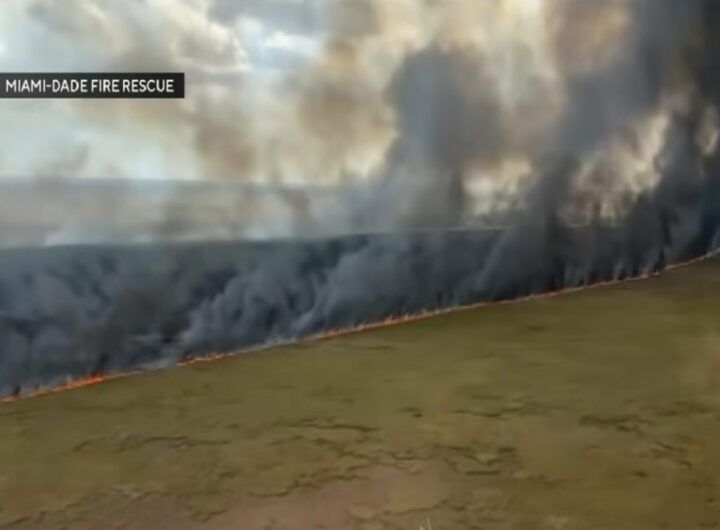 Gli incendi in Florida