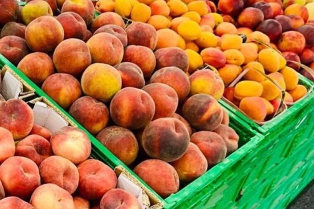 Frutta