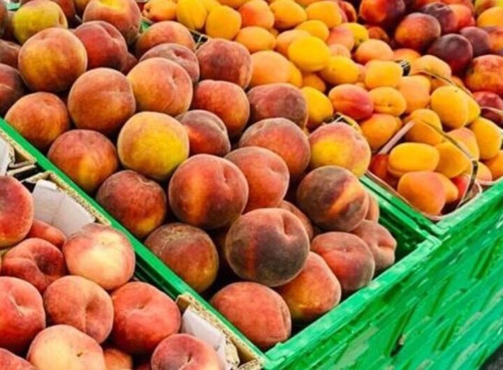 Frutta