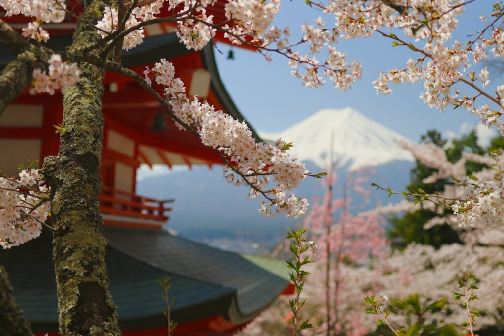 Monte Fuji in Giappone