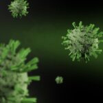 Hantavirus