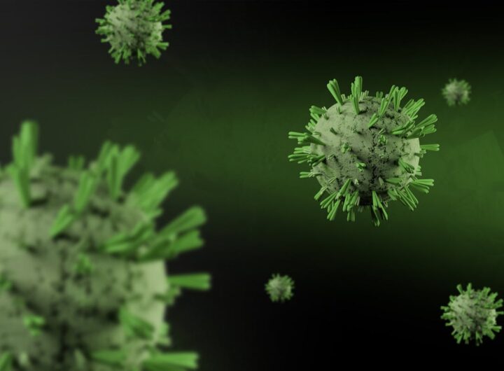 Hantavirus