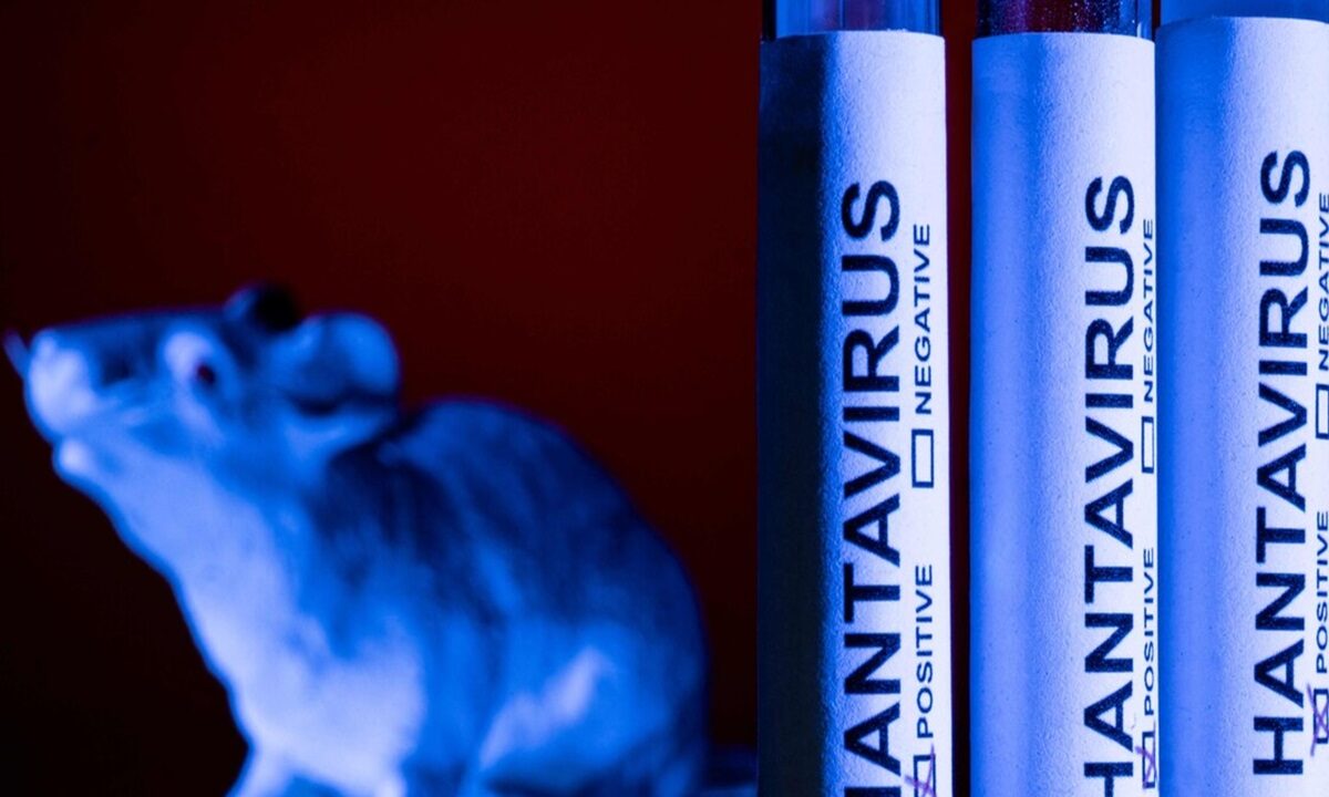 Una foto di repertorio sull'Hantavirus