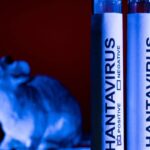 Una foto di repertorio sull'Hantavirus