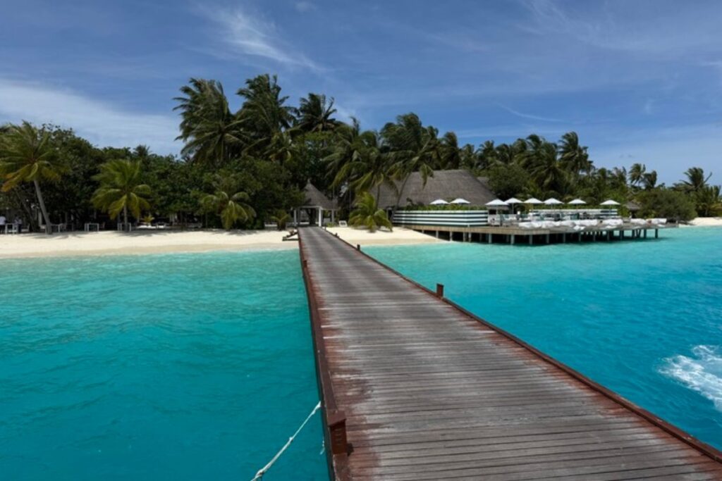 maldive