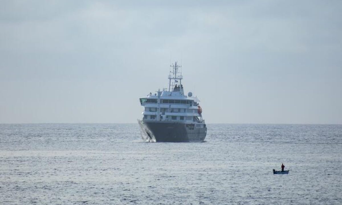 nave hantavirus